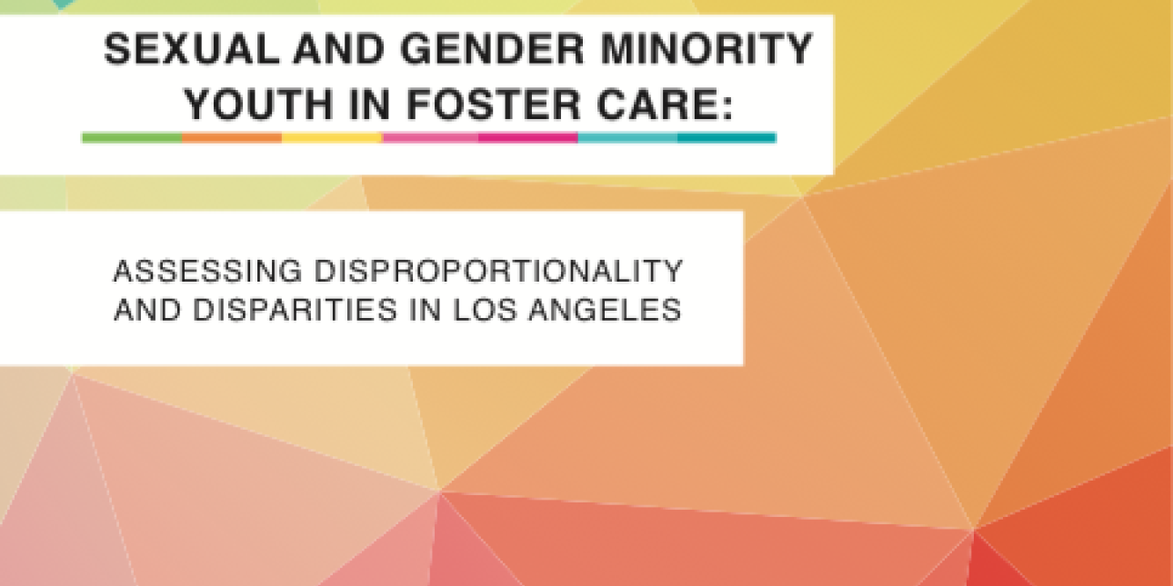 Sexual And Gender Minority Youth In Los Angeles Foster Care Bianca D M